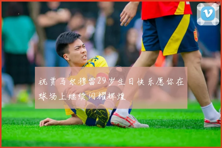 祝贾马尔穆雷29岁生日快乐愿你在球场上继续闪耀辉煌