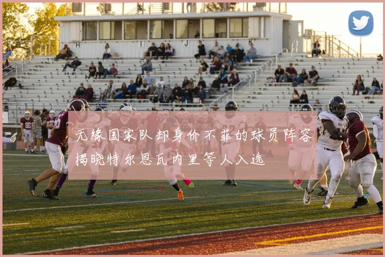 无缘国家队却身价不菲的球员阵容揭晓特尔恩瓦内里等人入选